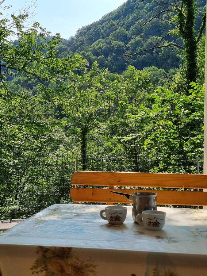 Glamping House ˇvitaˇ Otel Tolmin Dış mekan fotoğraf
